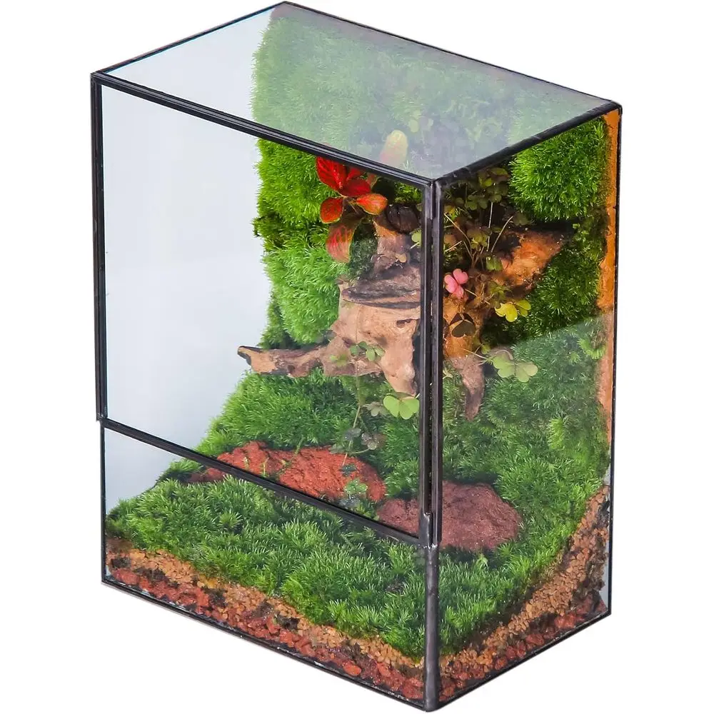 

Close Glass Terrarium with Door - 7.8 x 5.1 x 9.8 Inches Geometric Landscape Clear Planter for Succulent Plants - Indoor Tableto