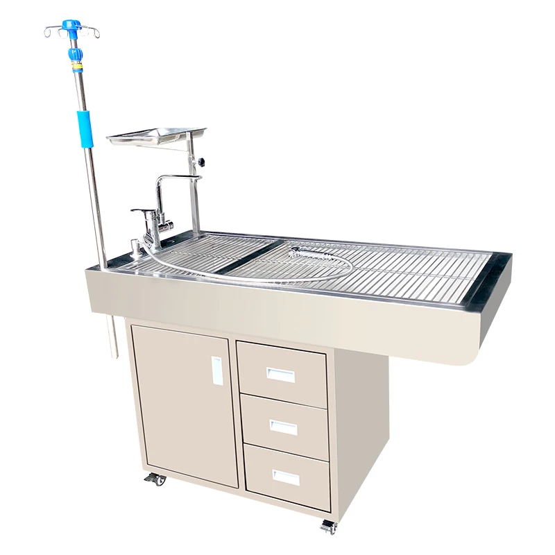 

Wholesale Price for Sale Electric Folding Lifting Pet Operating Table Stainless Steel Dog and Cat Surgical Dissection Table