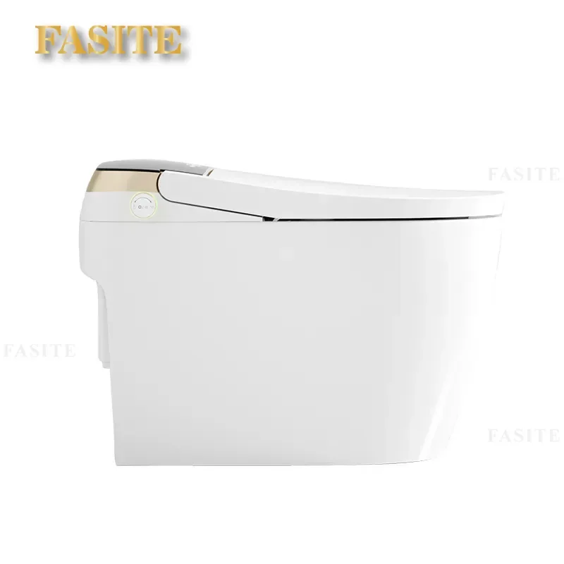 Standard Smart Toilet Automatic Sterilization Integrated Heating Voice Control North American Style