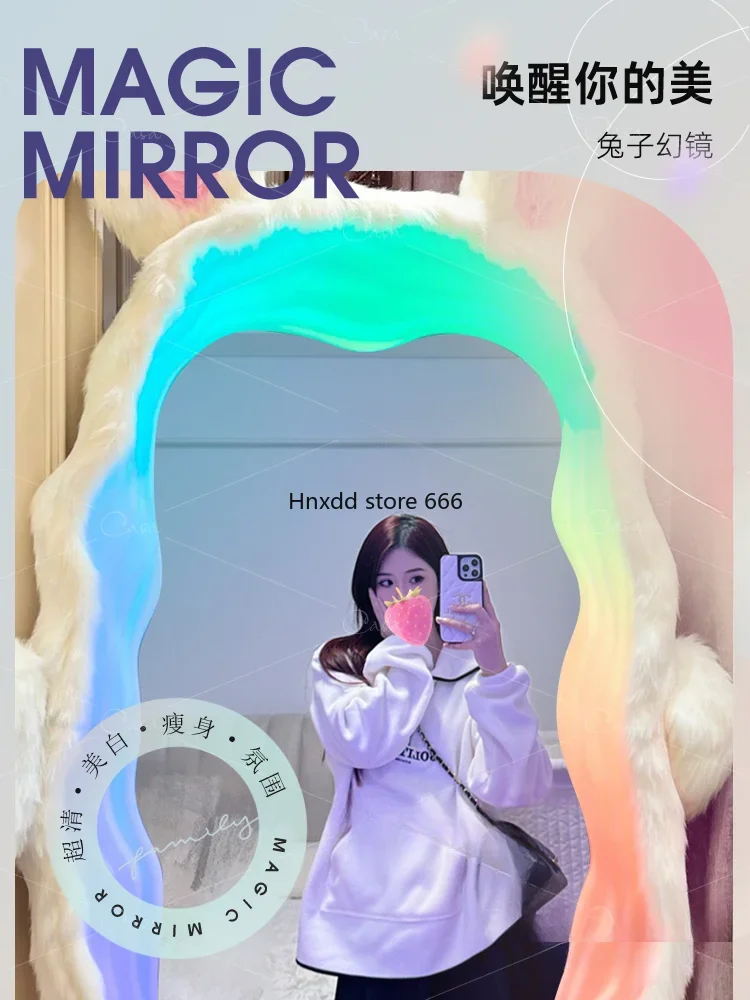 Pink luminous ins wind dressing floor art mirror