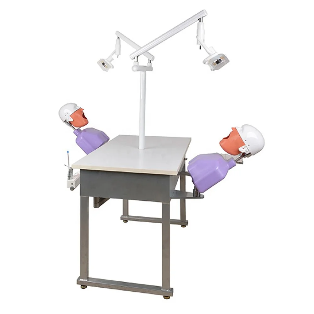 dental school training model simulation unit