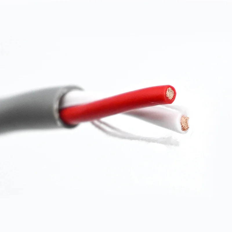 Professional Twisted Pair Speaker Cable 2 Core 1mm 1.5mm 2.5mm 4mm OFC Copper Loudspeaker Audio Bulk  Wire for Stage Studio