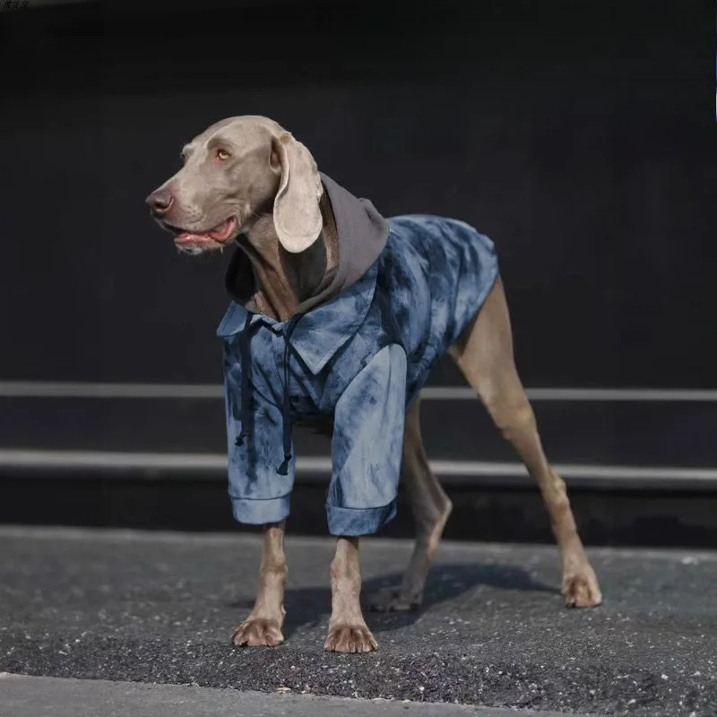 : Толстовки для собак