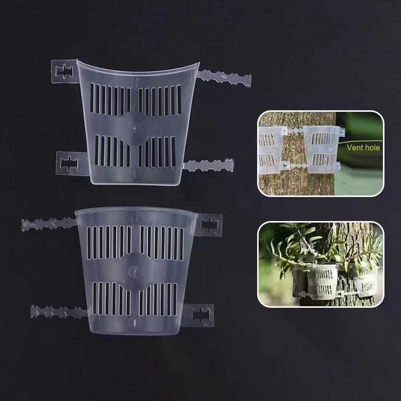 10pcs Orchid Planting Boards With Root-Control & Aeration Dendrobium Mounting Panels For Bonsai Indoor/Outdoor