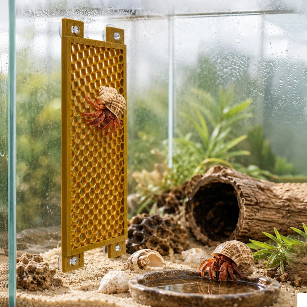 Hermits Crab Ladder Climbing Toy Habitats Layouts Climbing And Exploration Landscaping Small Animal Accessories