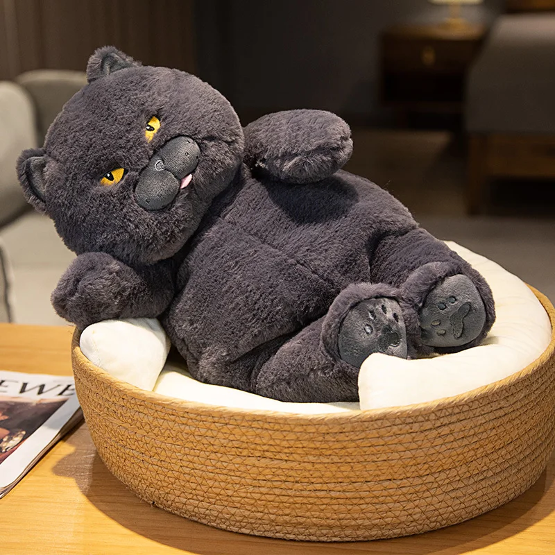 30-60cm Kawaii Chubby Plush British Shorthair Cat Toys Soft Stuffed Animal Cat Dolls Sleeping Cushion Nice Birthday Gift