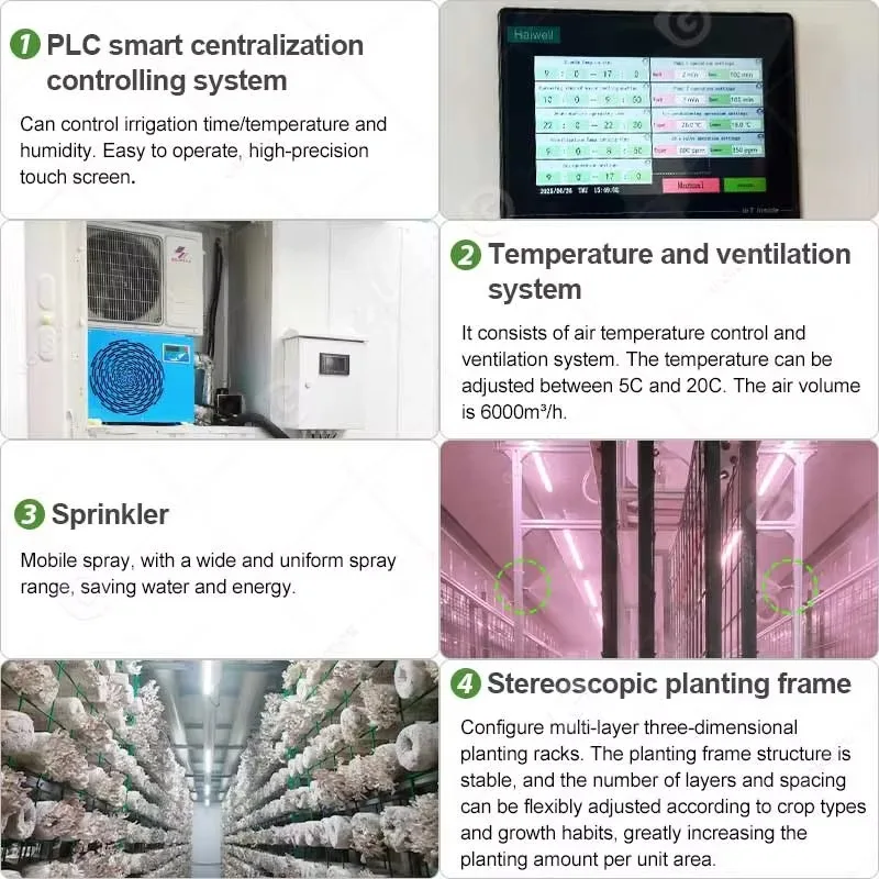 20ft 40ft Container Barley Fodder Growing System Automatic Hydroponic Feed Production Room for Cattle Sheep Farm
