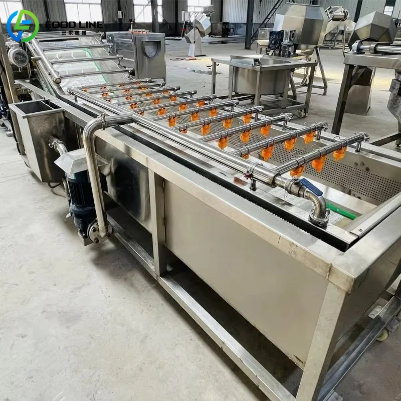 Customized Fruit and Vegetable Cleaning Machine Bubble Cleaning Machine Spinach Lettuce Cleaning Machine High Efficiency