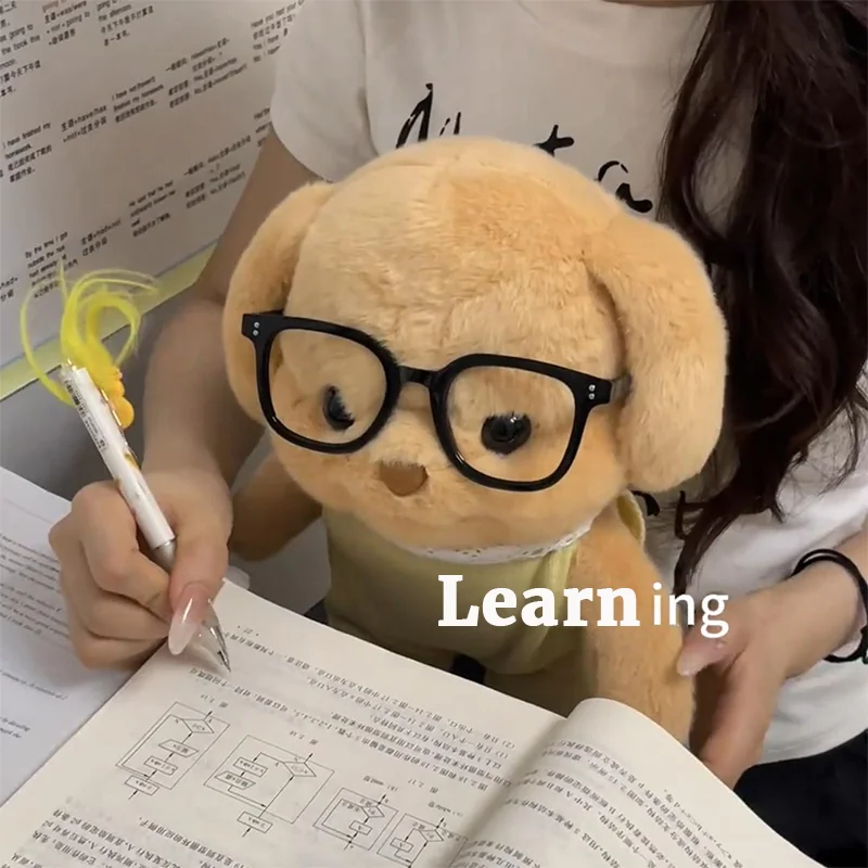 20 سنتيمتر Sylvanian لطيف القلطي الطفل ألعاب من نسيج مخملي الأسرة جرو الفارسي القط ألعاب الدمى غرفة الديكور أفخم الاطفال هدية