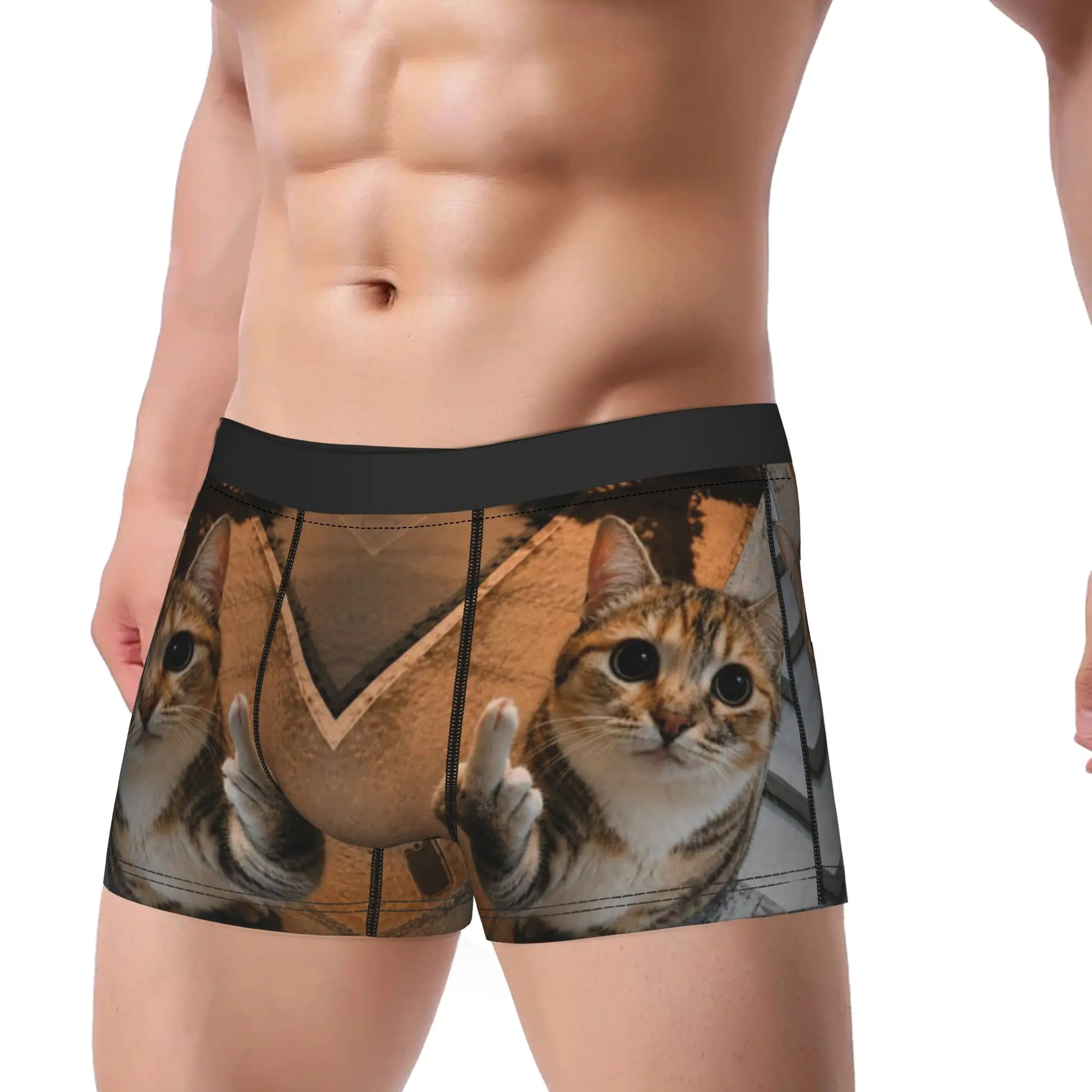 Tabby Cat Middle Finger Funny Meme   Underpants Homme Panties Man Underwear Comfortable Shorts Boxer Briefs