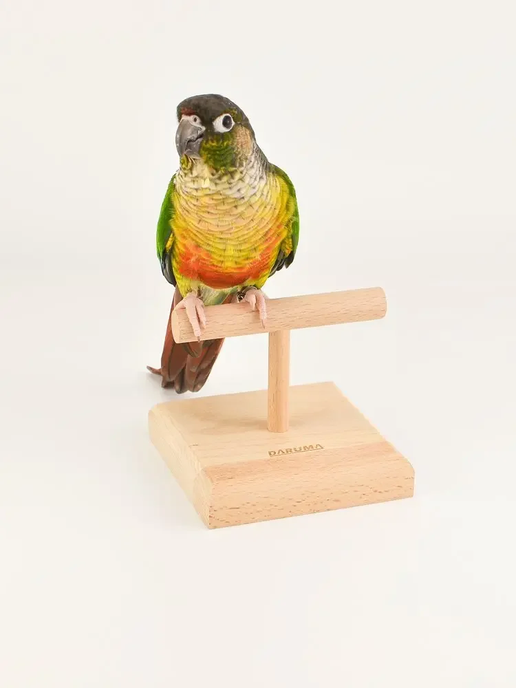 Parrot T-shaped Stand Desktop Interactive Training Stand