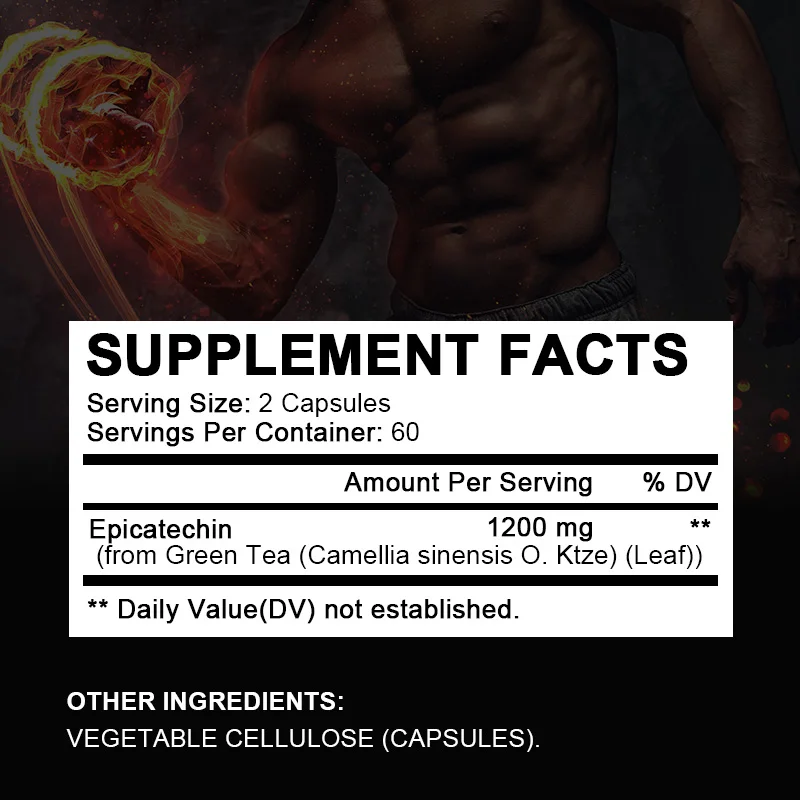 Epicatechin Capsules - Protein Synthesis, Athletic Ability, Strength, and Lean Muscle Support - Carnosine Inhibitors Supplements