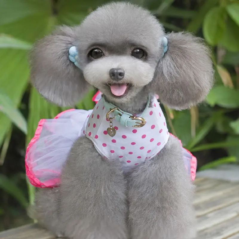 Pet Puppy Lace Dress Dogs Dot Short Princess Skirt Cherry Pattern Dog Party Dresses Chihuahua Dog Wedding Dress Dog Clothes