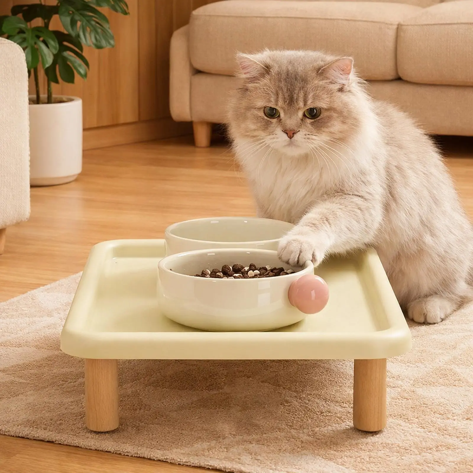 #24 Top Rated Elevated Cat Feeding Bowls to Buy in 2026