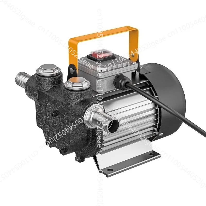 

Electric Oil Pump 220V High Power Large Flow Self-priming Pump Gear Pump Diesel Fuel Dispenser 550W