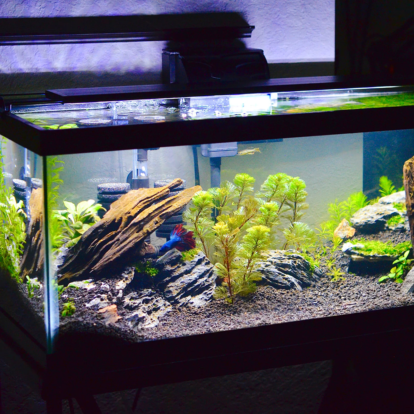 

Fish Tank Pad Thicken Aquarium Leveling Mat High-Density Foam Shockproof Water Absorption Wear Resistant Corrosion Proof