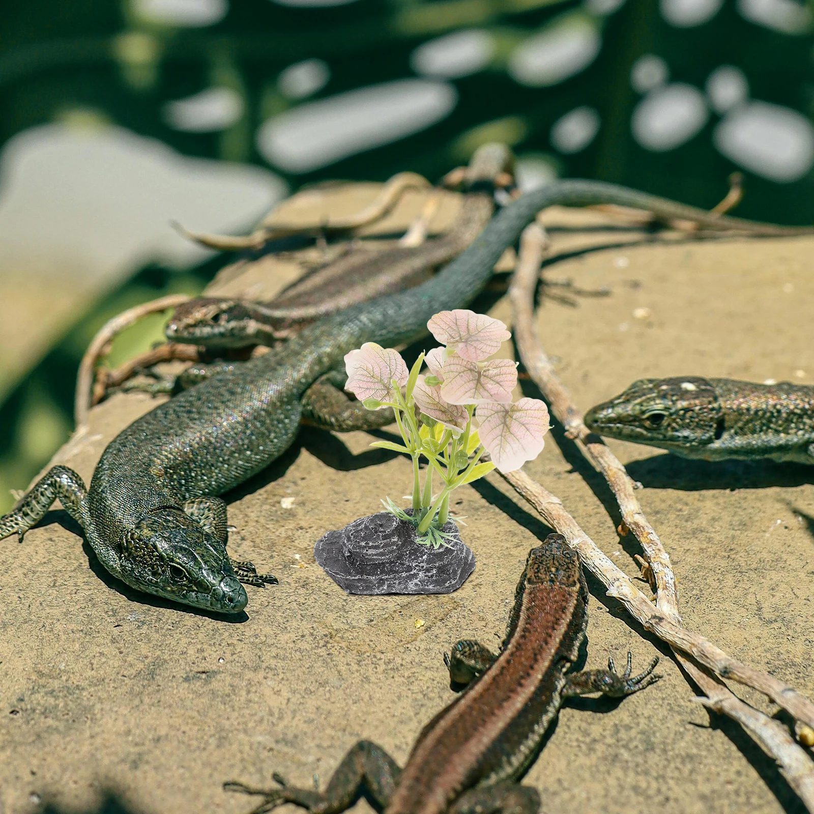 

Realistic Artificial Plants for Pet Terrarium Decor Bearded Dragon Tank Axolotl Reptile Habitat Fish AquariumPlant namentturtle