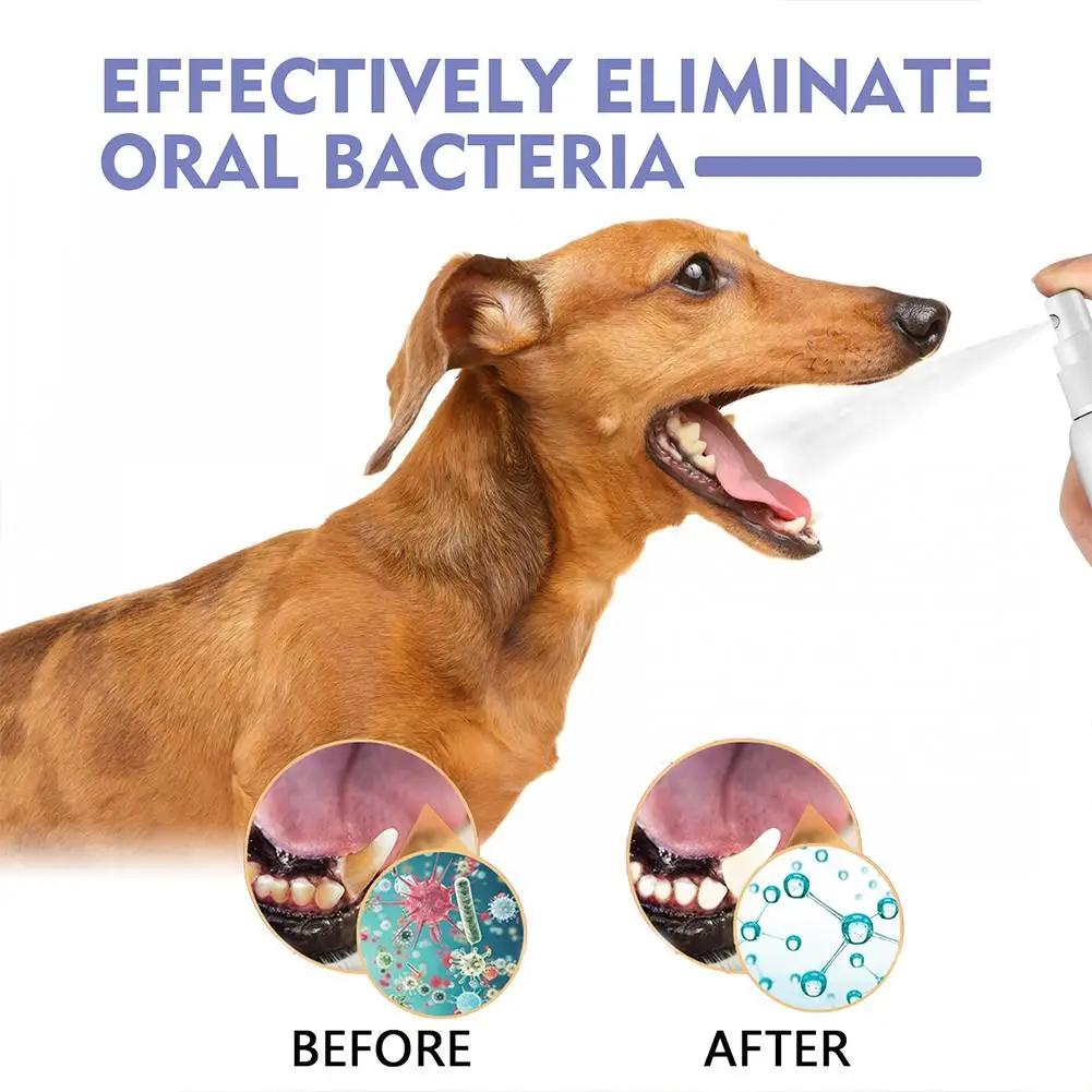 Pet Oral Cleaning Spray Mouth Fresh Whitening Teeth Deodorant Prevent Calculus Dental Plaque Removal Dogs Teeth Cleanse Spray view 3