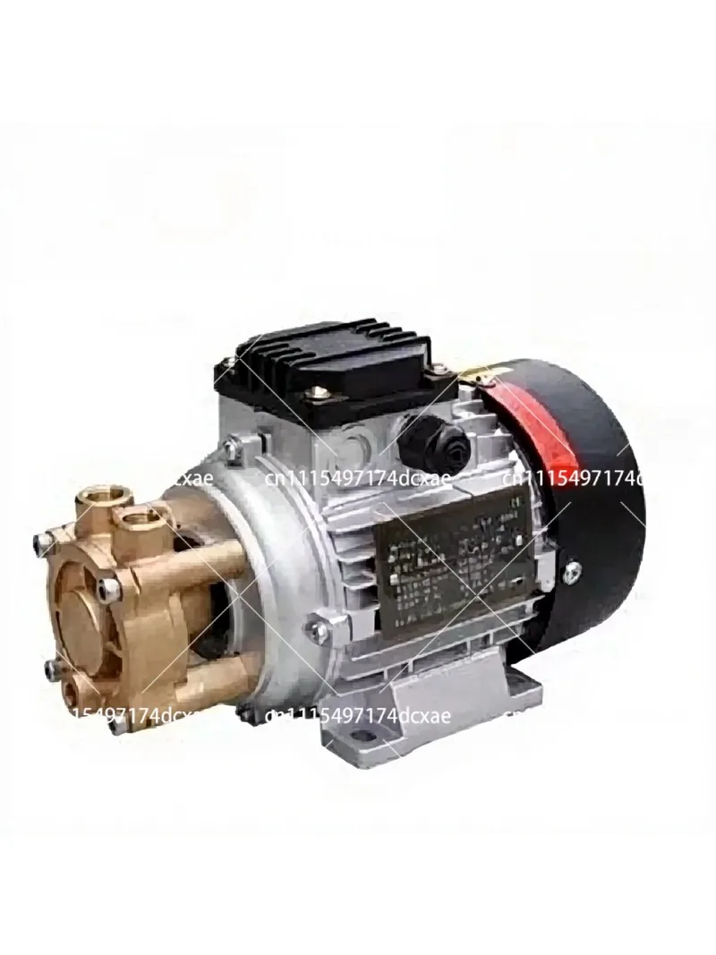 Hot Water Circulating Pump 220V High-Temperature Water Pump for Bath Steam Generator