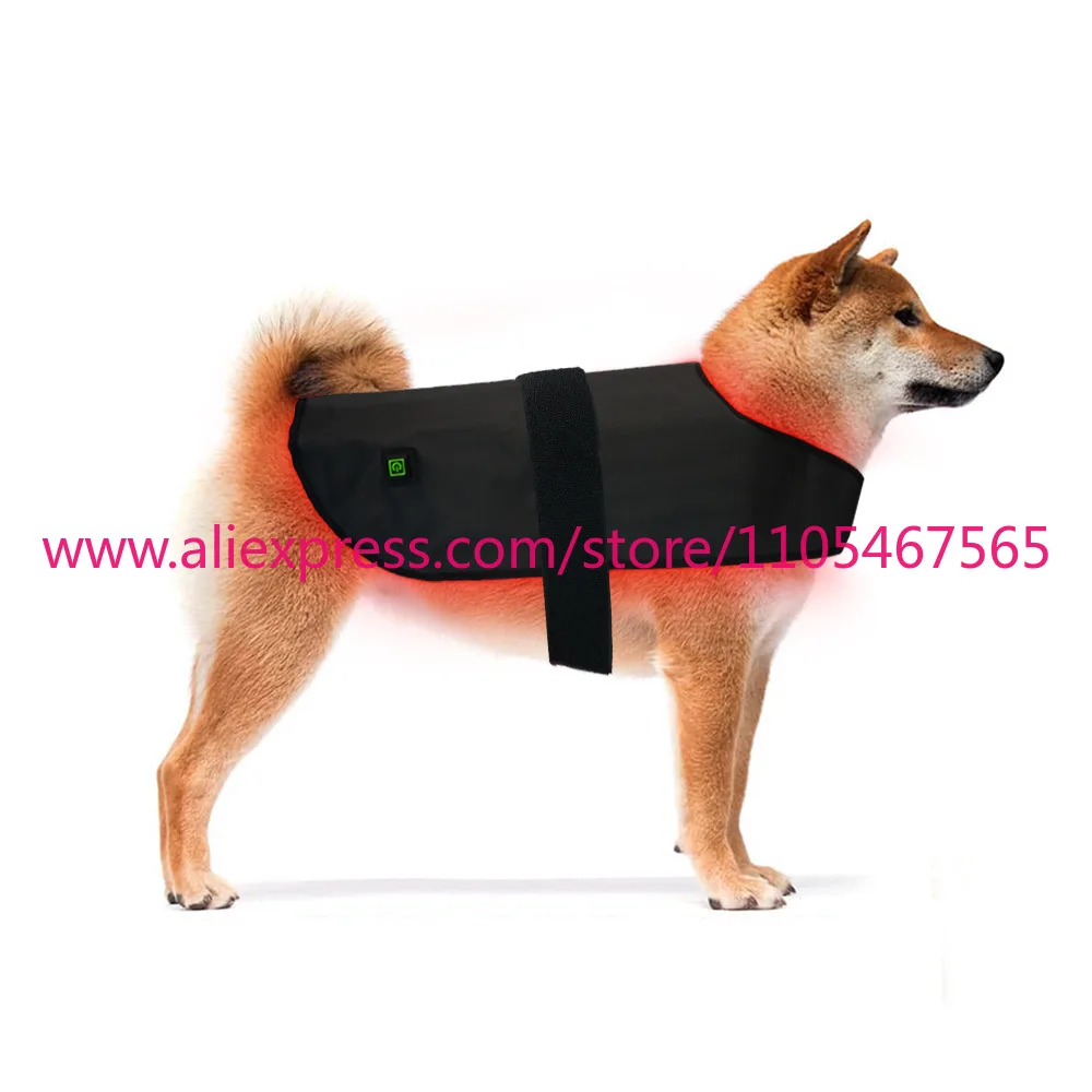 1Pcs M size pet red light infrared physiotherapy instrument cat and dog back abdominal injury fracture healing portable timing
