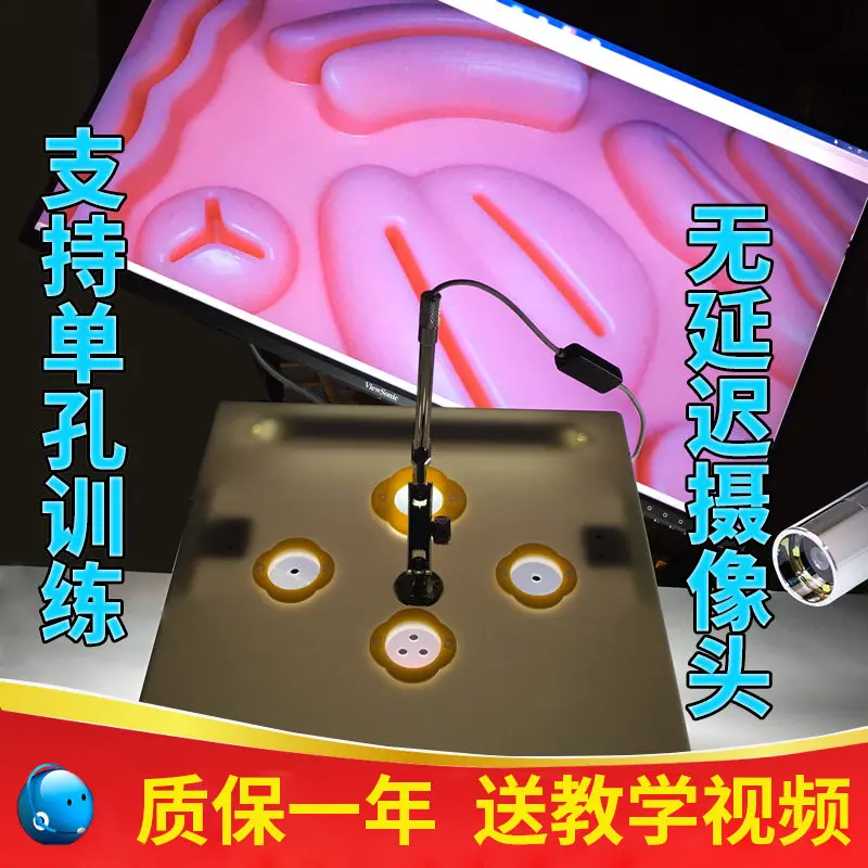 Laparoscopic Simulation Training Instrument General Surgery Gynecology Student Suture Laparoscopic Surgery Simulation Training