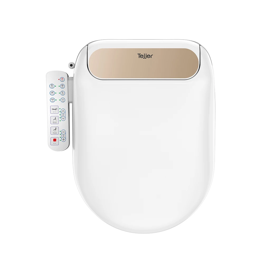 

TEJJER Luxury Modern Single Cold Electric Smart Toilet Seat Bidet Electric Toilet Seat Cover