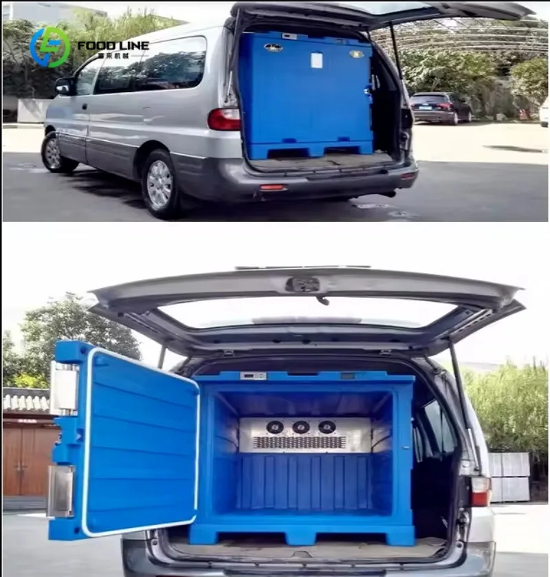 Customized Popular in European Countries Cold Chain Equipment Refrigerated Rotational Molding Box Fridge Freezer Box