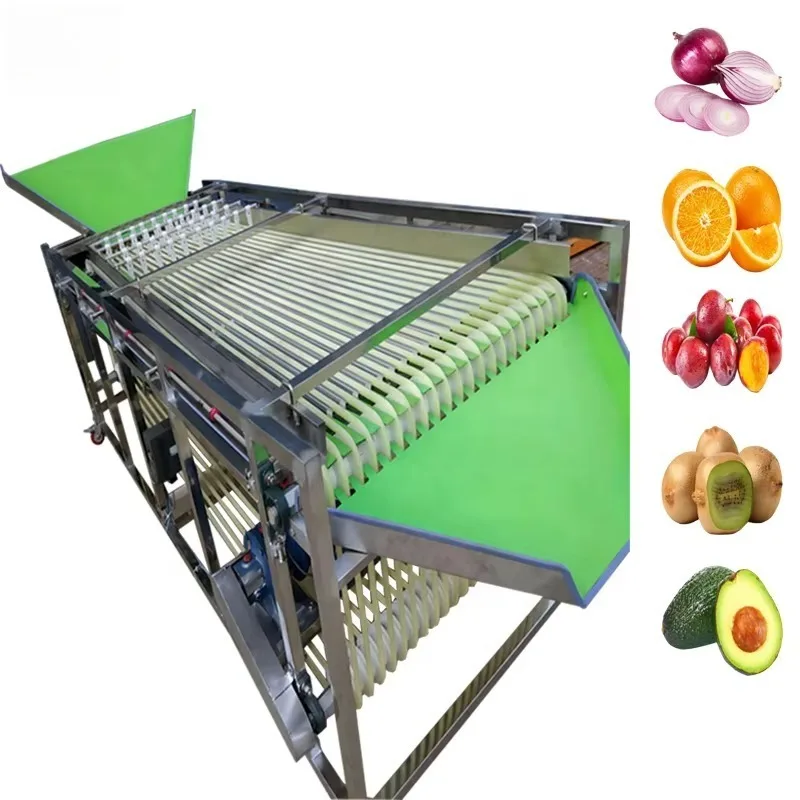 DZJX Date Cleaning and Sorting Machine Vegetable Citrus Fruit Carrot Cherry Grading Machine Coffee Cherry Sorter Sort Machine
