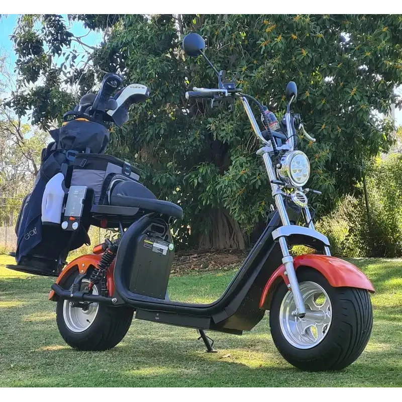 Factory Hot Selling US/EU Warehouse Golf Car Electric Or  Top Golf Supplier Accept Customized golf scooters