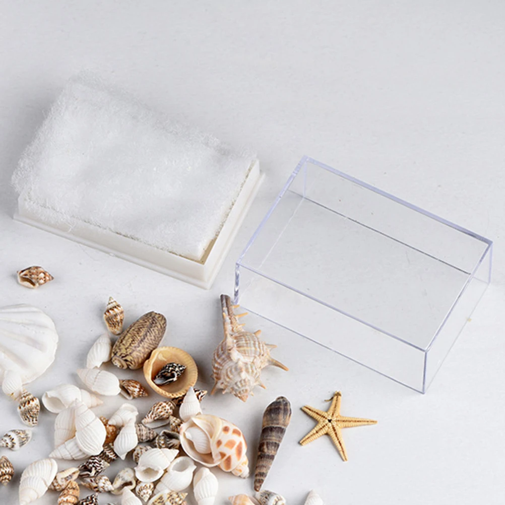 عينات الصدف الصدف للزينة الاكريليك محارة الحرفية الحلي صدف الشاطئ الطبيعي #2