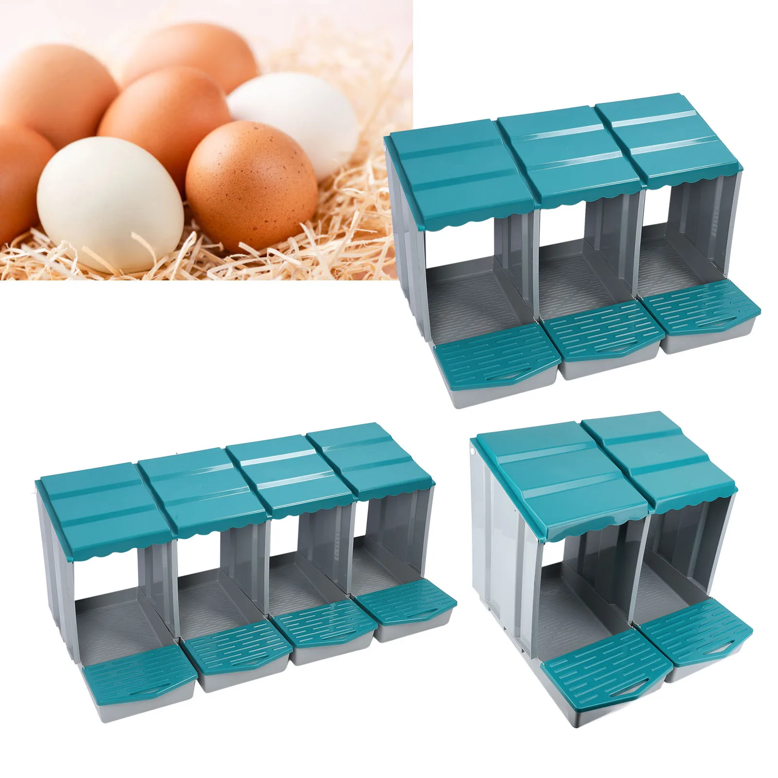 

Chicken Egg Laying Box Chicken Nesting Box PP Chicken Egg Laying Box for Hens Ducks Poultry Comfortable Spacious Easy To Clean