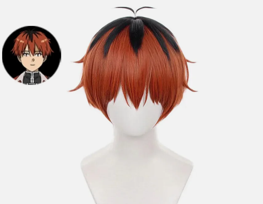 

Frieren: Beyond Journey's End Cosplay Wig Short party Synthetic Costume Wigs