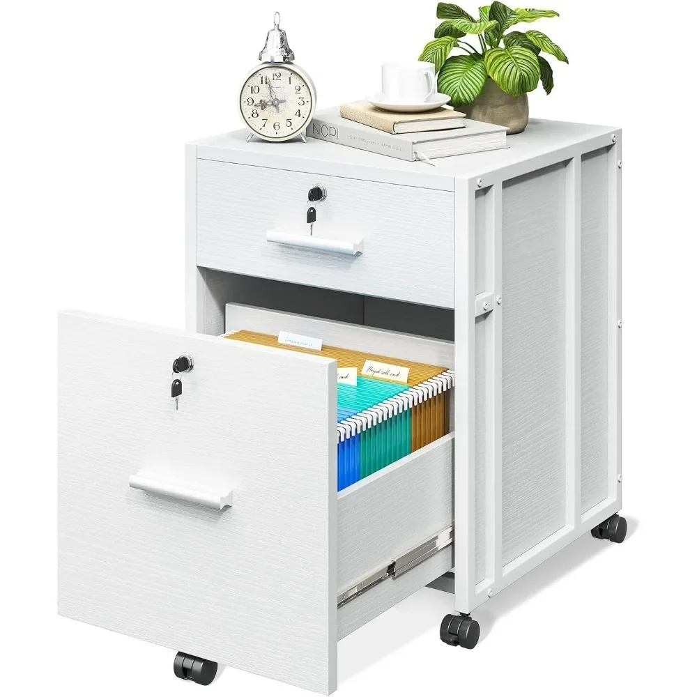 

File Cabinet for Home Office, Fully Assembled Filing Cabinet with Lock, 2 Drawer Office File Cabinet, Rolling File Cabinet