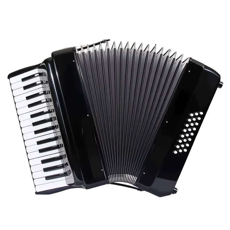 Professional Adult Exam Playing Beginner Keyboard Instrument 30 Keys 24 Bass Accordion