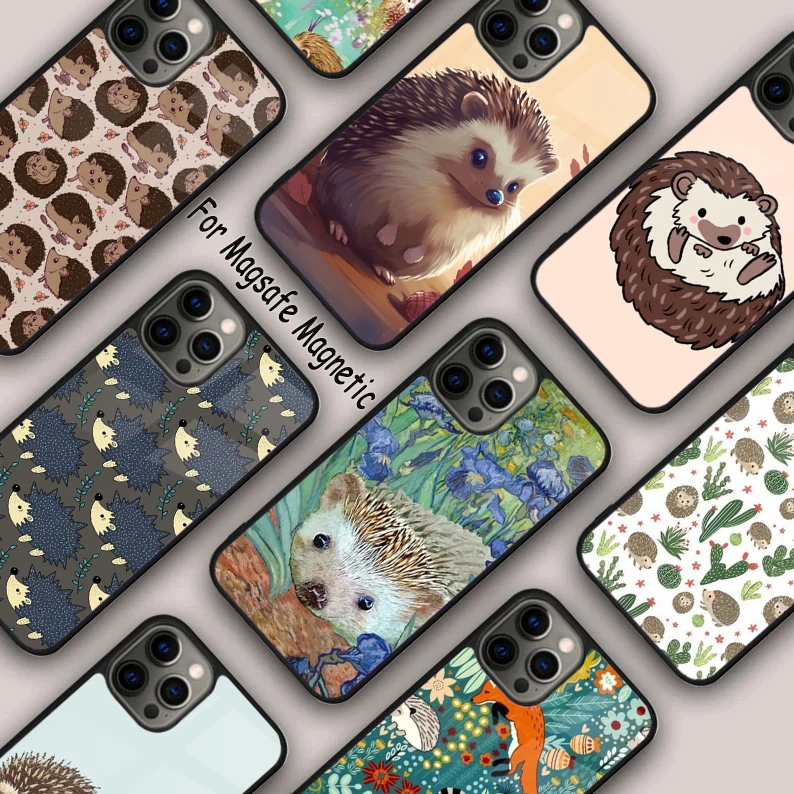 Cute Hedgehog Magnetic Phone Case For APPLE iPhone 16 14 13 12 11 Pro Max 15 Plus Wireless Charge With MagSafe Cover