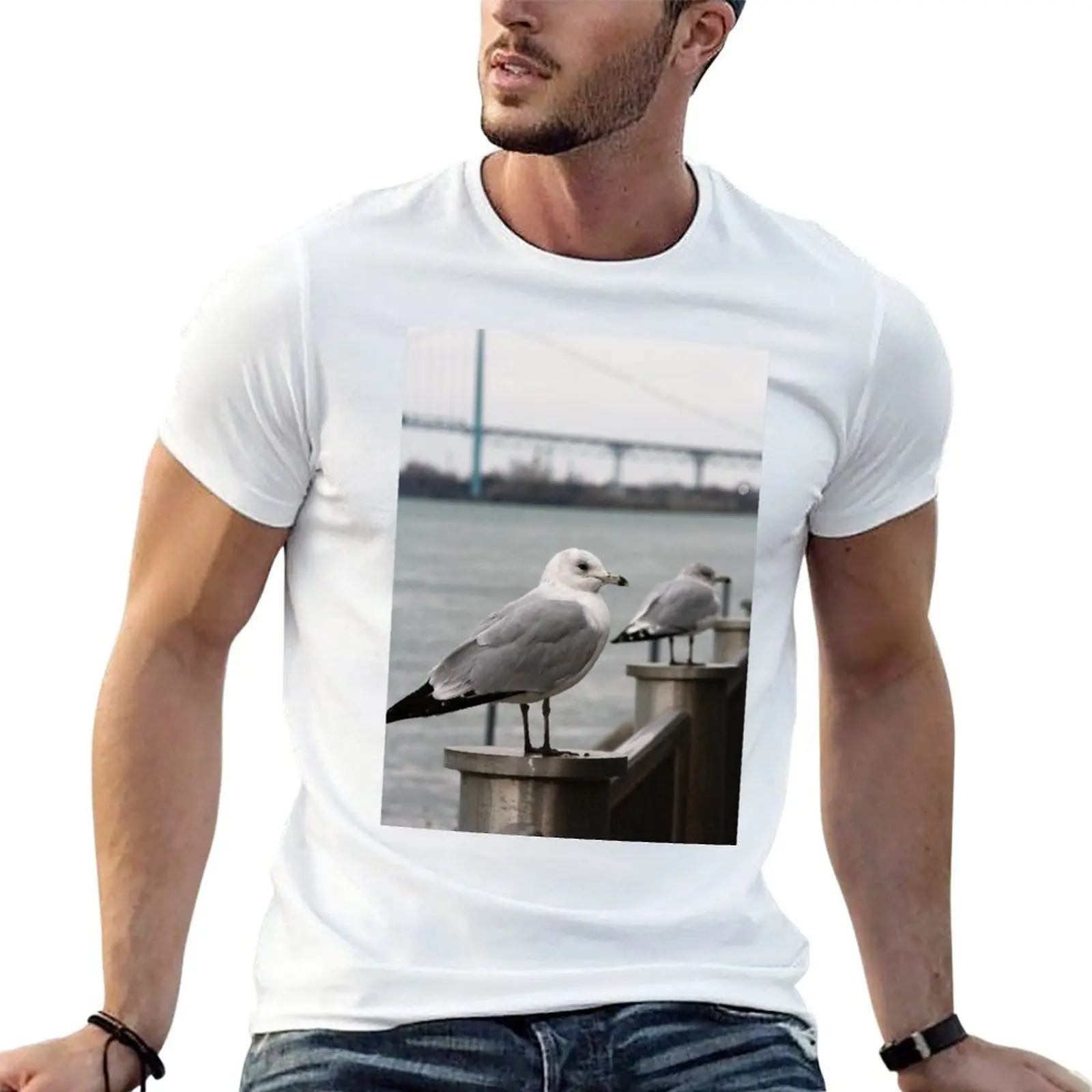T-shirt Ambassador Gulls pour homme, en coton, avec motif graphique, t-shirts pour homme
