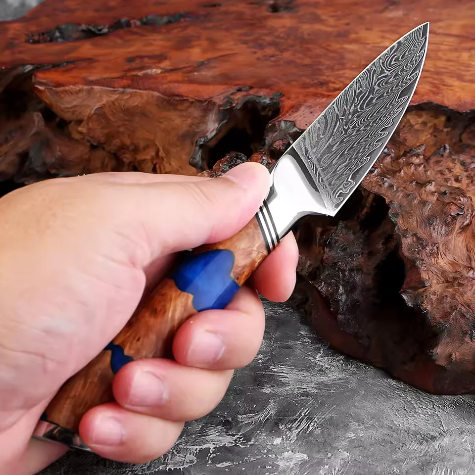 

3.5 Inch Paring Knife,Peeling Knife,Japanese Premium Damascus Steel Sharp Knife, Full Tang Small Kitchen Knife for Fruit Peeling