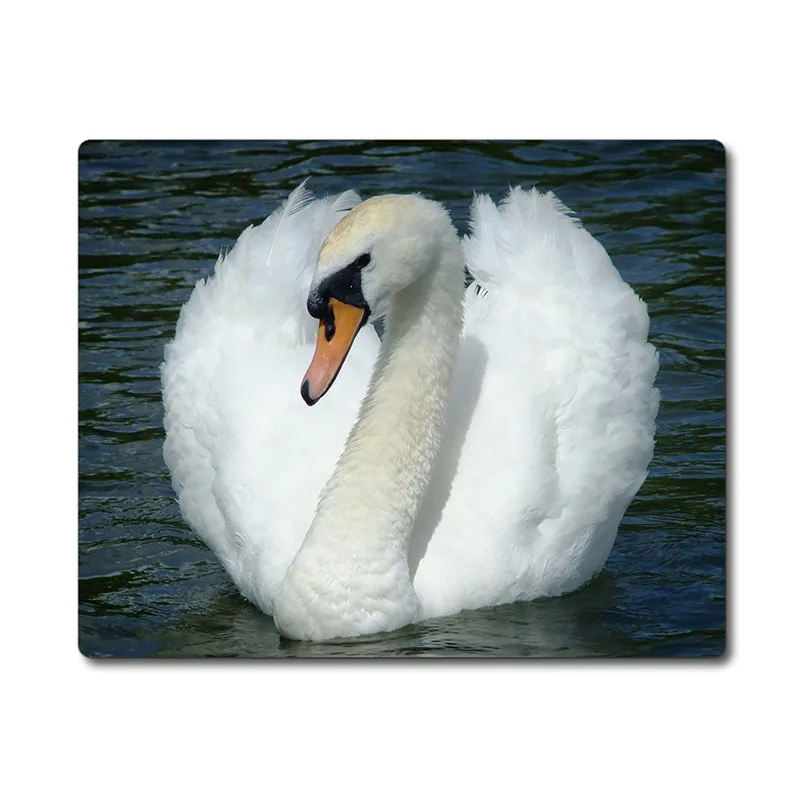 The Solemn and Beautiful Swan on the Lake Printed Anti-slip Rubber Pad Office Cup Coaster Party Favor Gifts 220x180x3mm