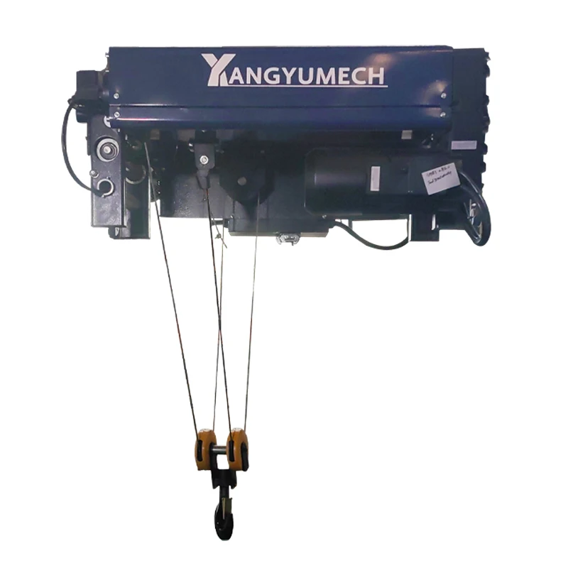 Customizable New European Style Wire Rope Hoist Suitable for Gantry Bridge Type Single Girder Crane