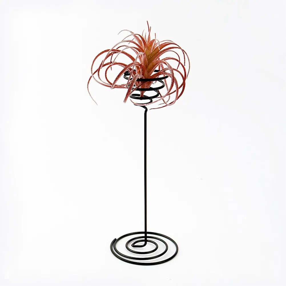 Stainless Steel Air Pineapple Stand Flower Holder Display Rack for Micro Landscape Terrariums Office Home Garden Decor
