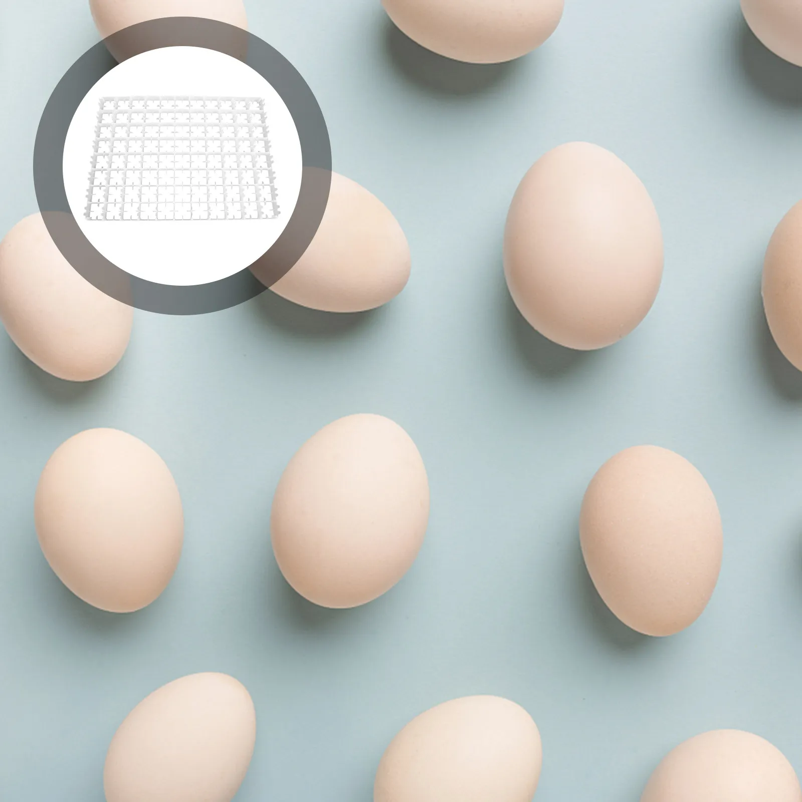 

88 Compartments Egg Incubator Tray for Chicken Quail Eggs Beige Brooder Machine Durable Plastic Container Lightweight Storage