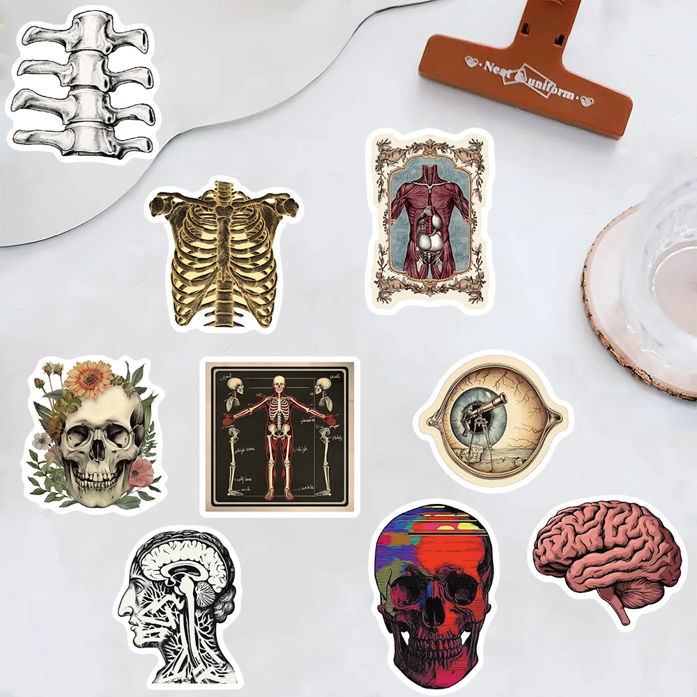 50PCS Retro Scientific Anatomy Sticker Physiology Anatomy Luggage Laptop Cars PVC Guitar Coffee Skateboard Notebook Decals