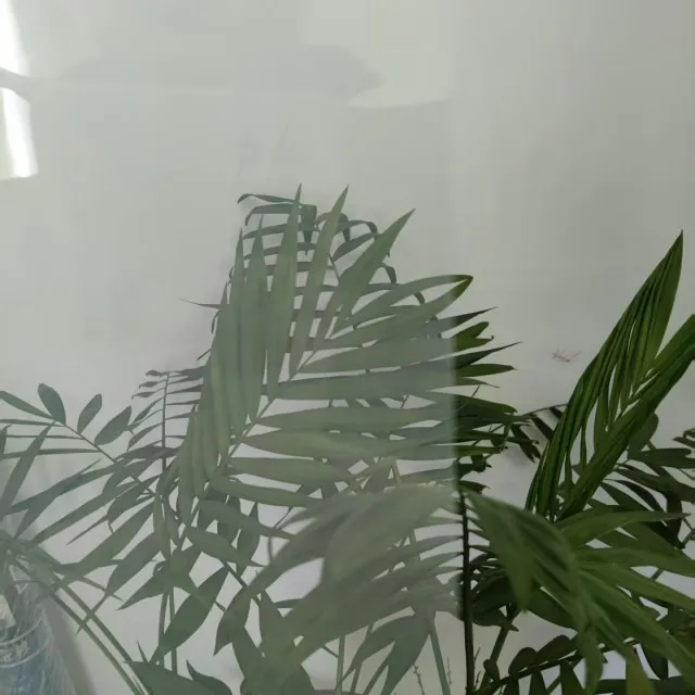 

High Quality Rear Projection Window Film for Glass Screen Wall
