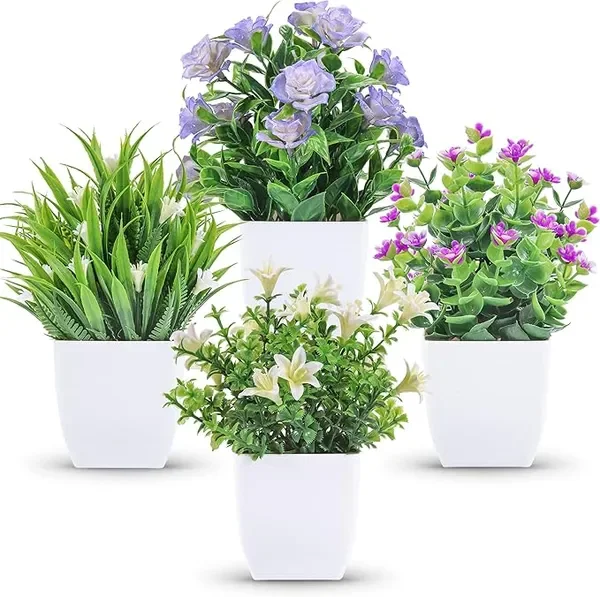 Der Rose 4 Pack Sma…