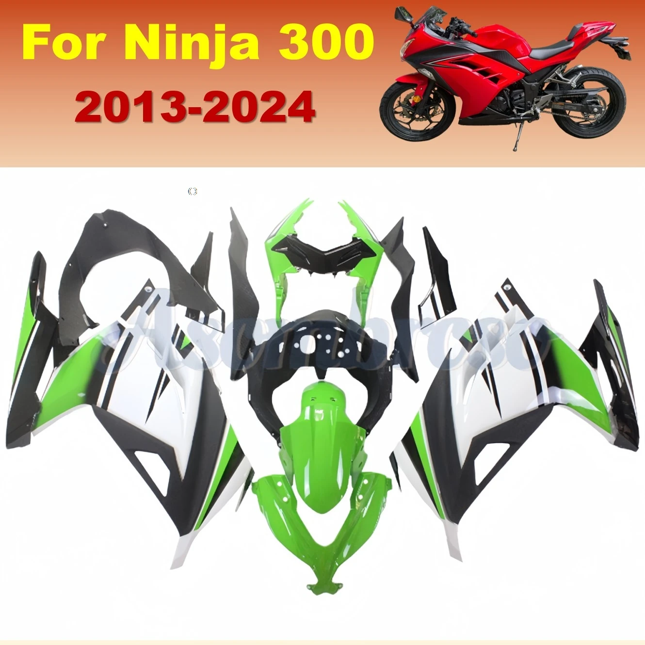 Fairing Kit For KAWASAKI NINJA300 2013-2024 EX300R 2017 2016 2015 2014 2020 2018 2019 2020 Injection Bodywork Protection cover