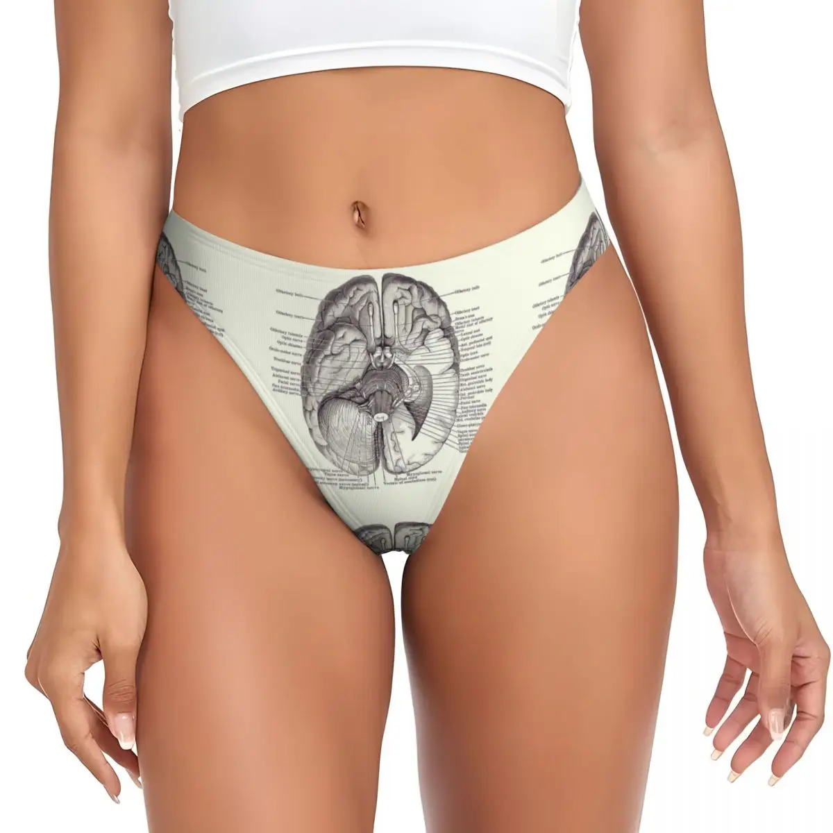 diagrama-personalizado-do-sistema-nervoso-calcinhas-g-string-vintage-de-anatomia-respiraveis-confortaveis-e-elasticas-para-mulheres