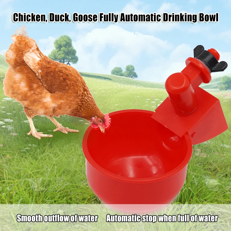 

Free Range Chickens Ducks Drinking Bowl Pigeon Quail Bird Drinking Fountain Automatic Water Dispenser for Poultry Farming 1/6pcs