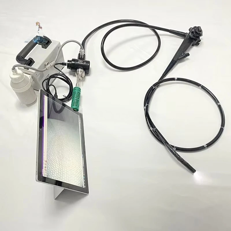Veterinary Equipment EX-60 Veterinary Endoscope Animal Flexible Universal Serial Bus Animal Microscope