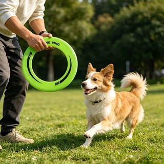 Frisbee de anillo hueco duradero, disco volador de PP suave, portátil para deportes de playa al aire libre, 1 ud.