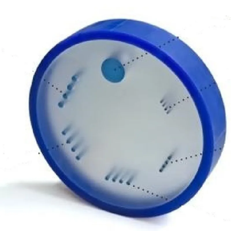 Motivo certificato CT